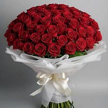 Букет 101 Красная роза Блэк Мэджик в Горетово